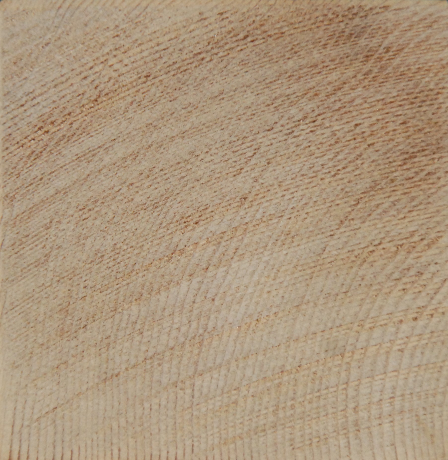Venatura legno cedro rosso canadese